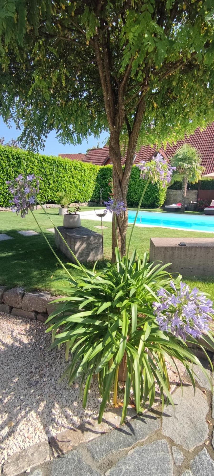 Ferienwohnung Bel Giardino FDH Exterior foto